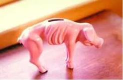 bank-orexic, hungry piggy bank, feed the pig, piggy bank is hungry
